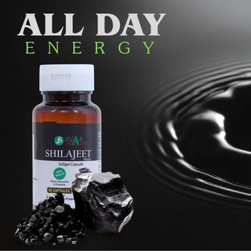 Himalayan Shilajit Resin Capsule